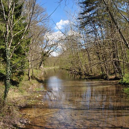 Baccon Chateau La Touanne Loire Valley المظهر الخارجي الصورة