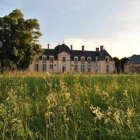 Baccon Chateau La Touanne Loire Valley المظهر الخارجي الصورة