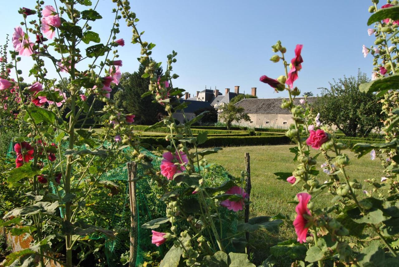 Baccon Chateau La Touanne Loire Valley المظهر الخارجي الصورة