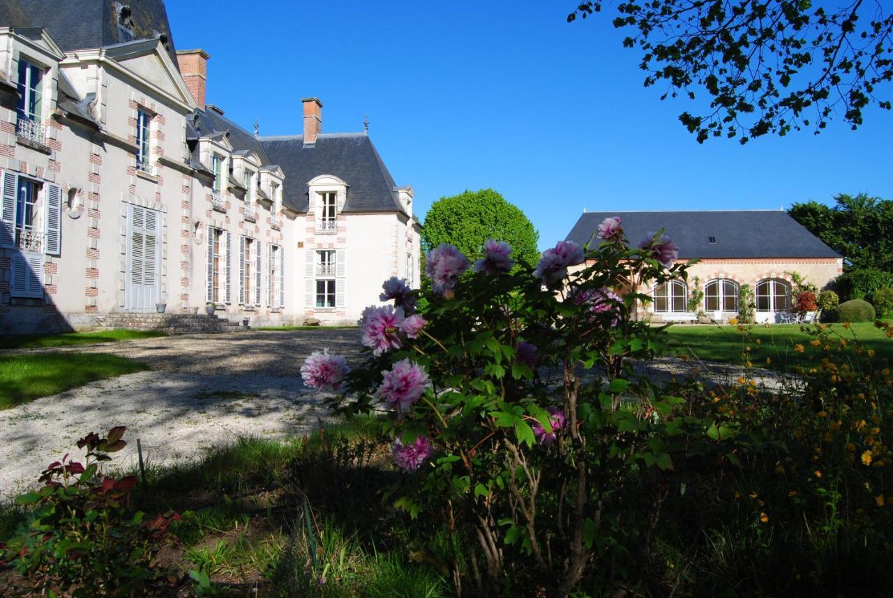 Baccon Chateau La Touanne Loire Valley المظهر الخارجي الصورة
