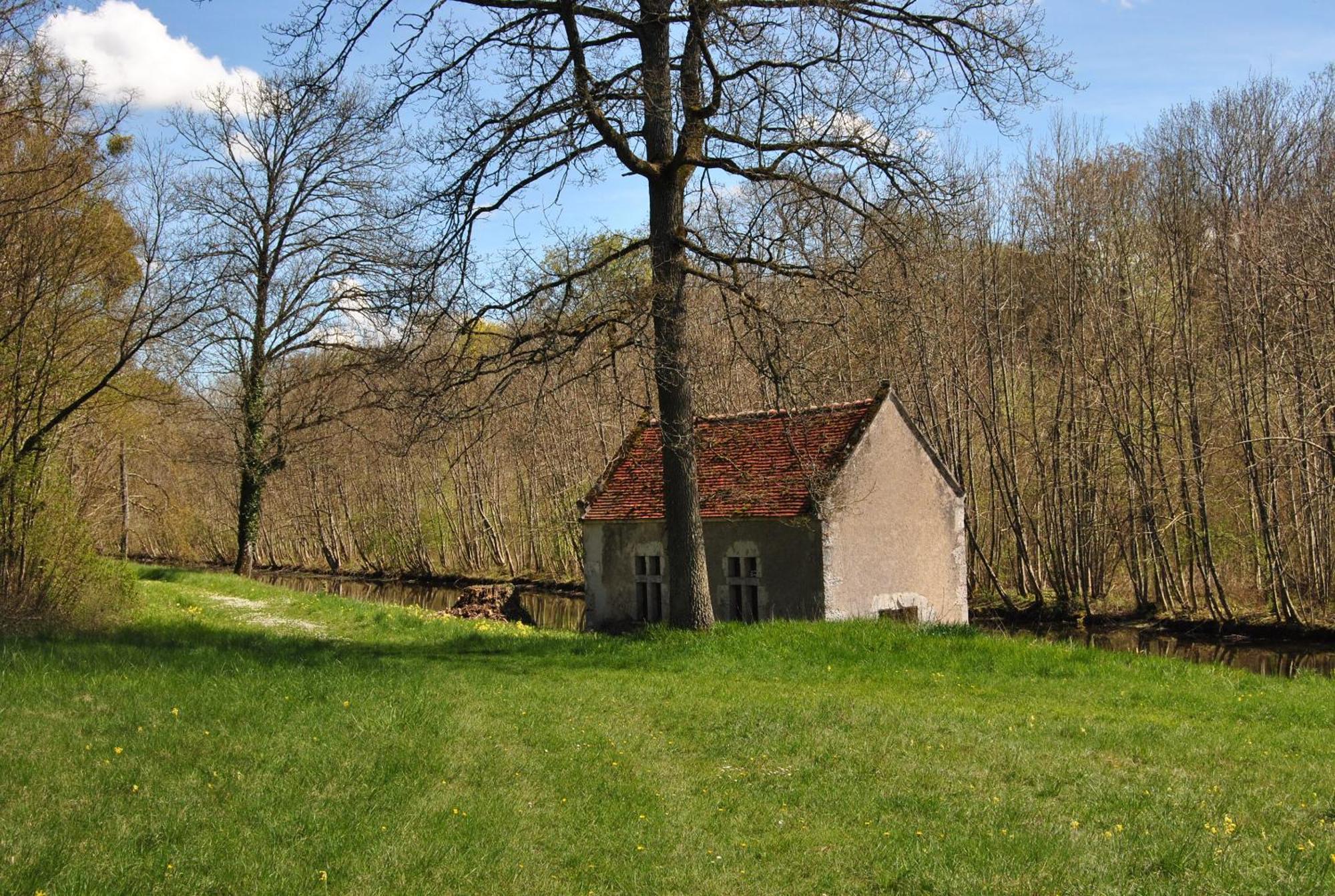 Baccon Chateau La Touanne Loire Valley المظهر الخارجي الصورة