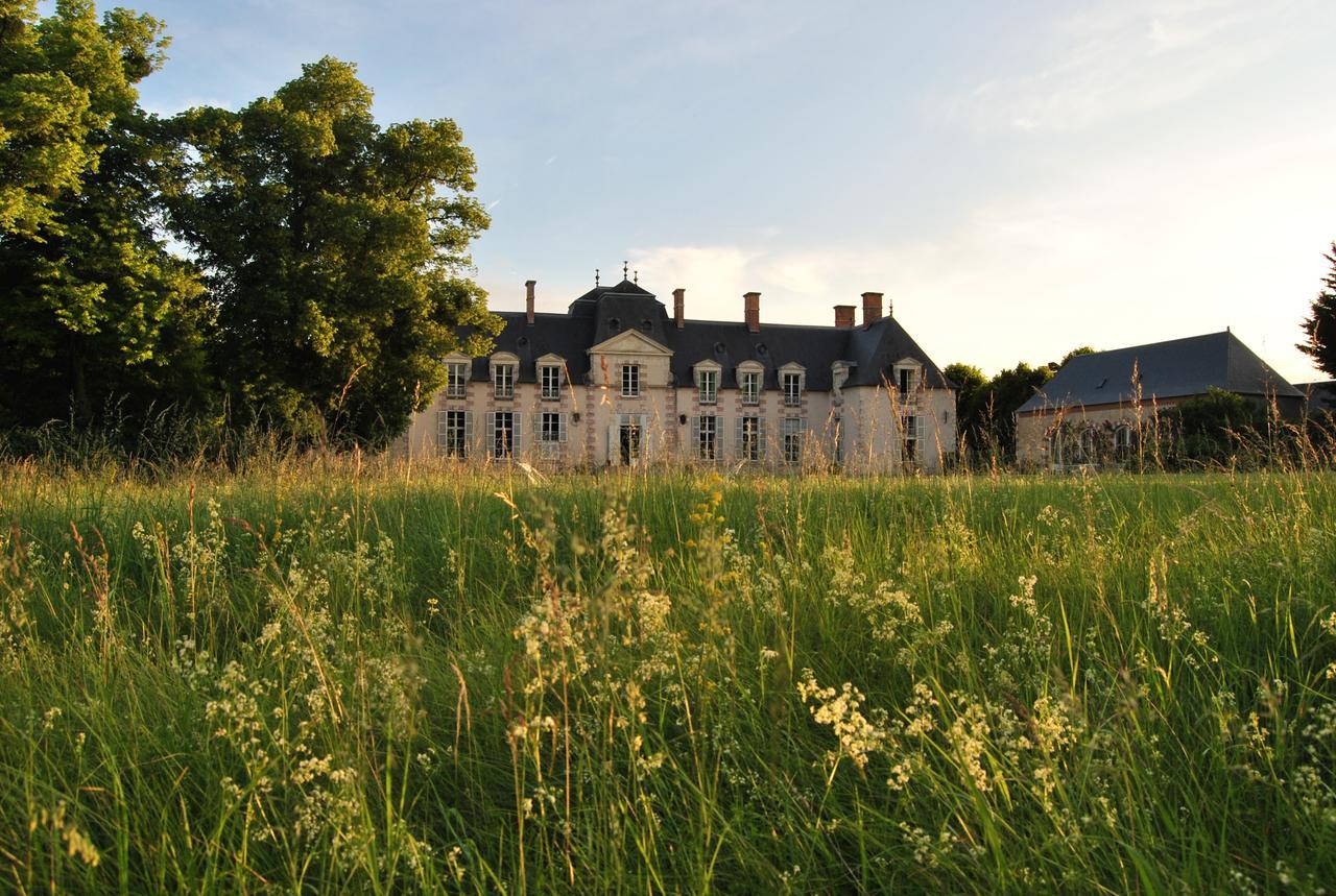 Baccon Chateau La Touanne Loire Valley المظهر الخارجي الصورة