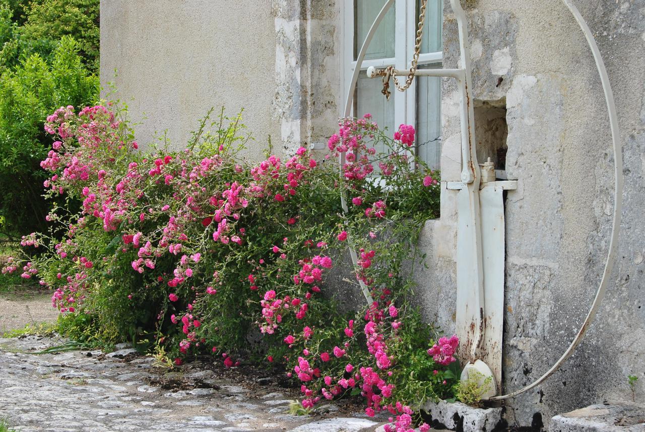 Baccon Chateau La Touanne Loire Valley المظهر الخارجي الصورة