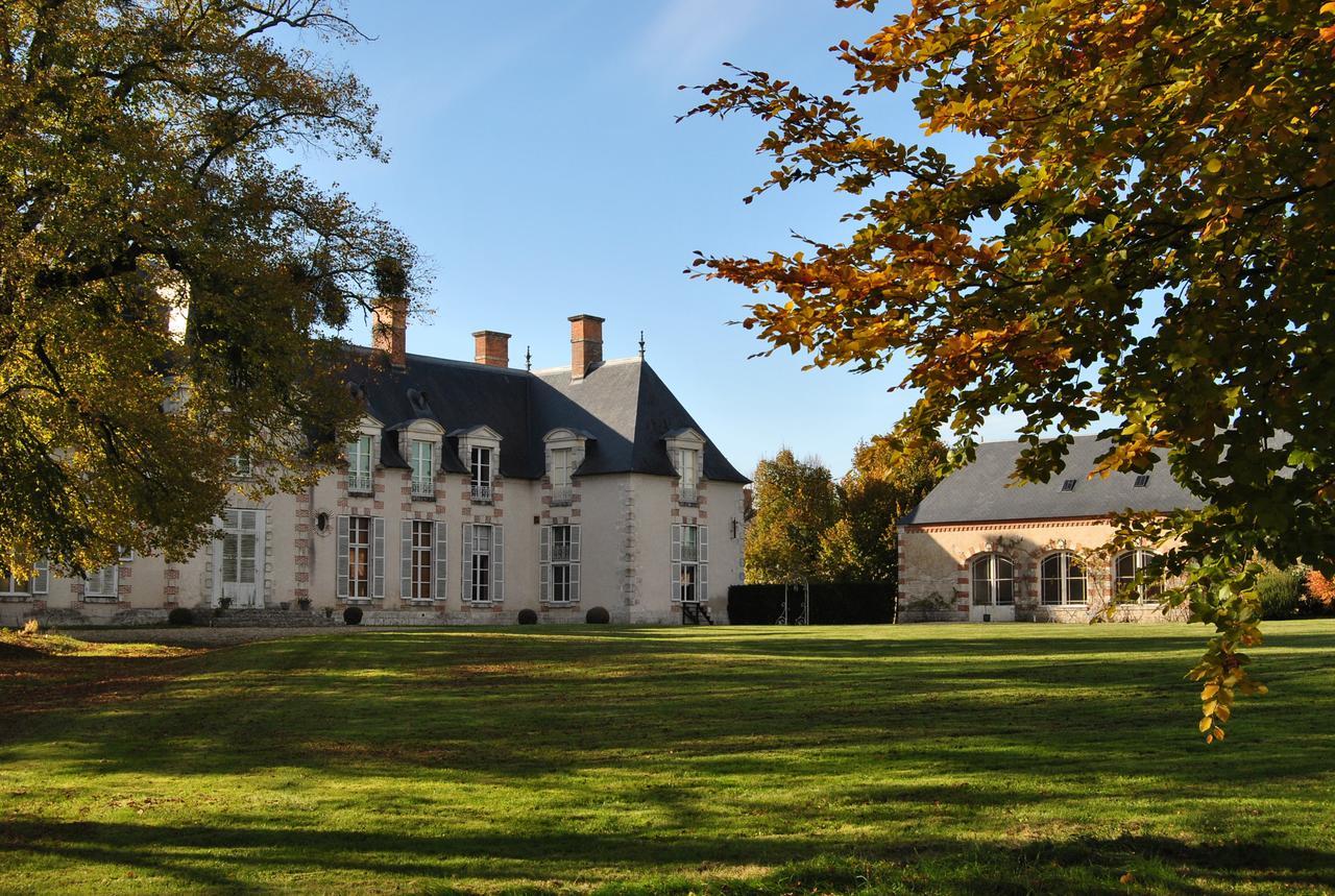 Baccon Chateau La Touanne Loire Valley المظهر الخارجي الصورة