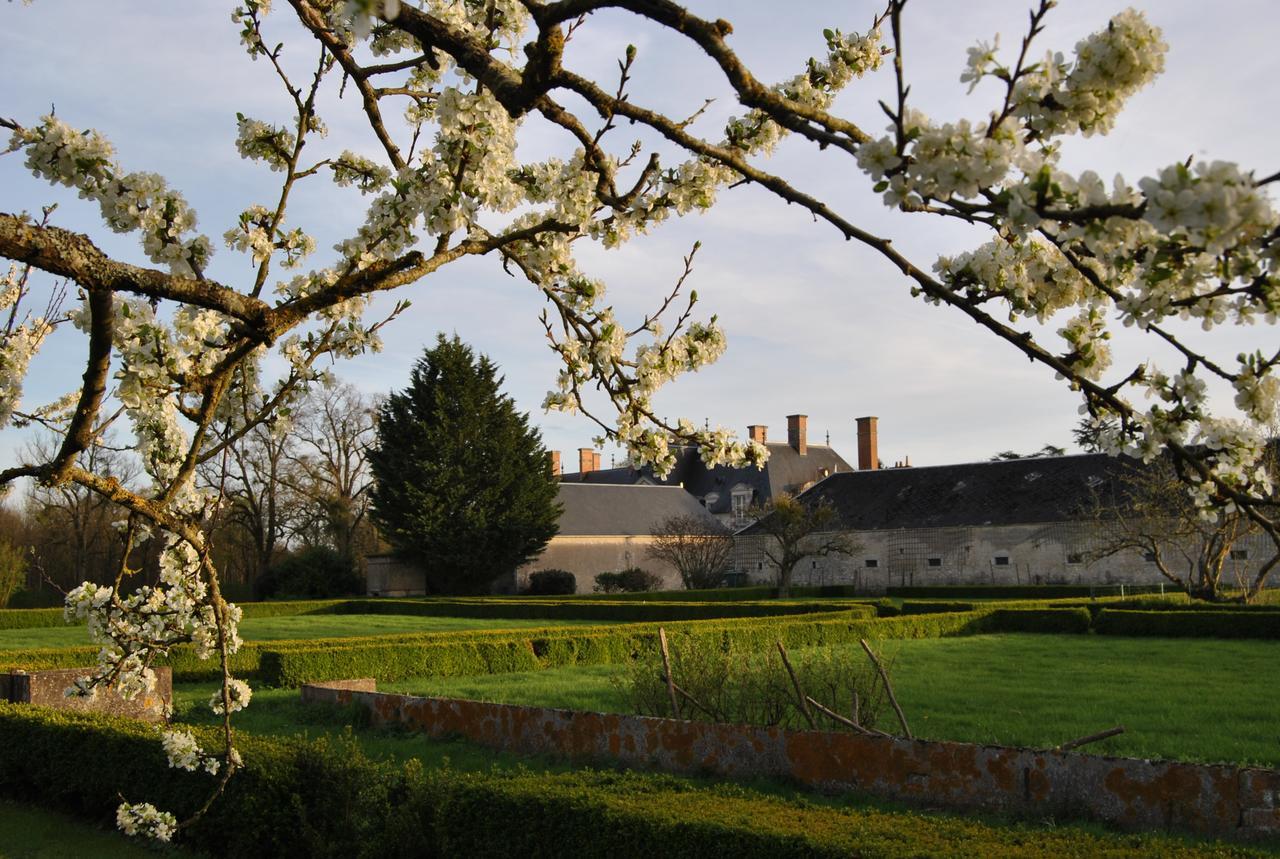 Baccon Chateau La Touanne Loire Valley المظهر الخارجي الصورة