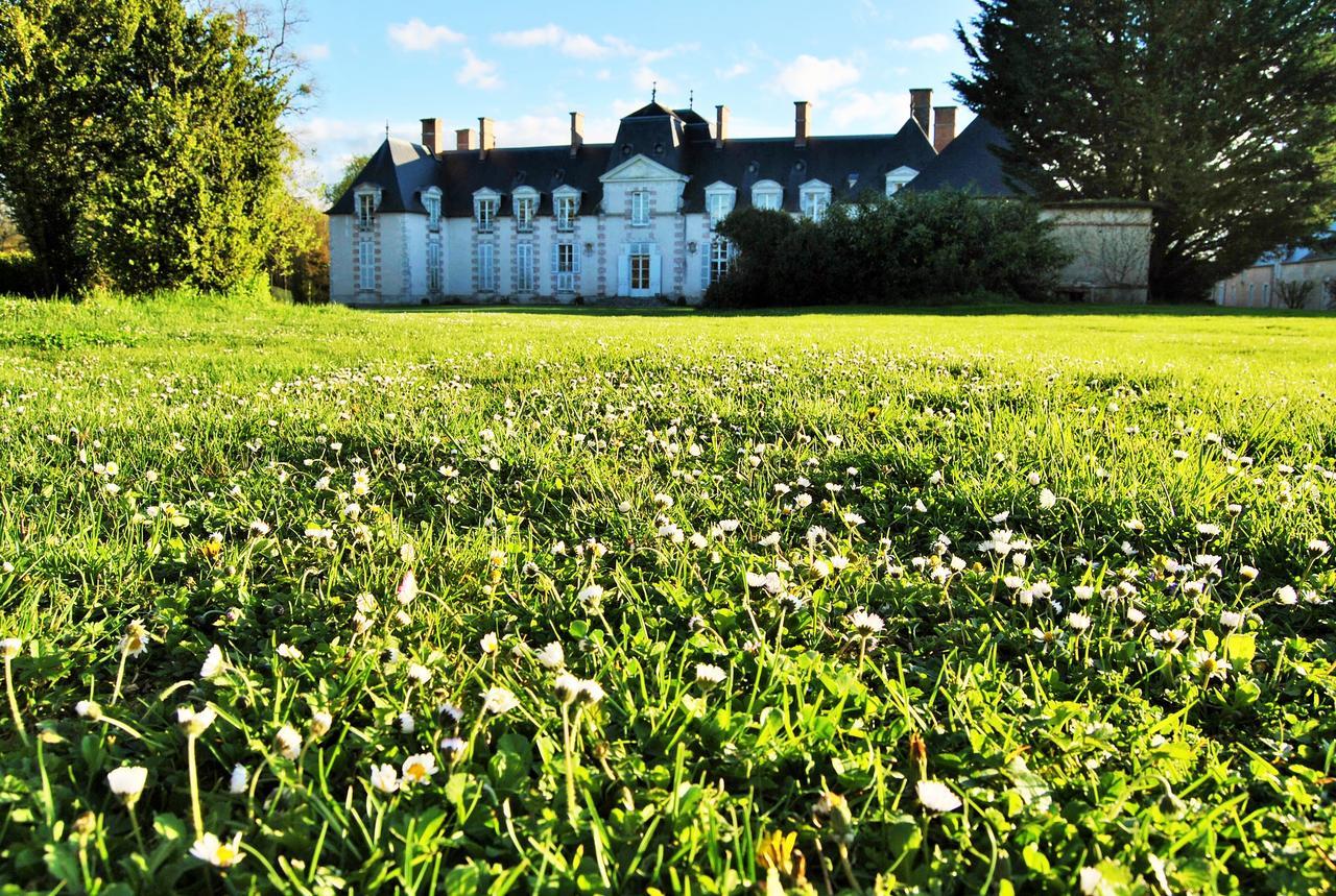Baccon Chateau La Touanne Loire Valley المظهر الخارجي الصورة