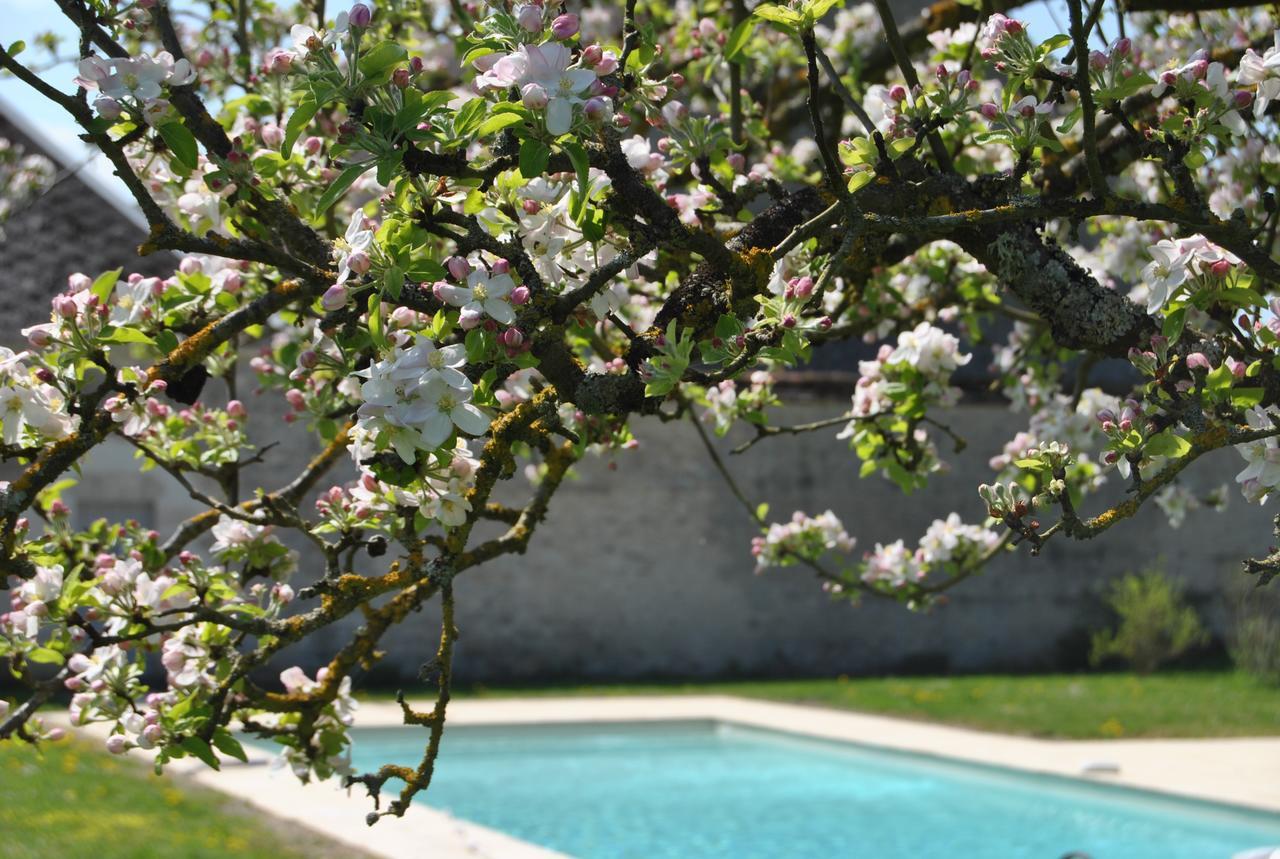 Baccon Chateau La Touanne Loire Valley المظهر الخارجي الصورة