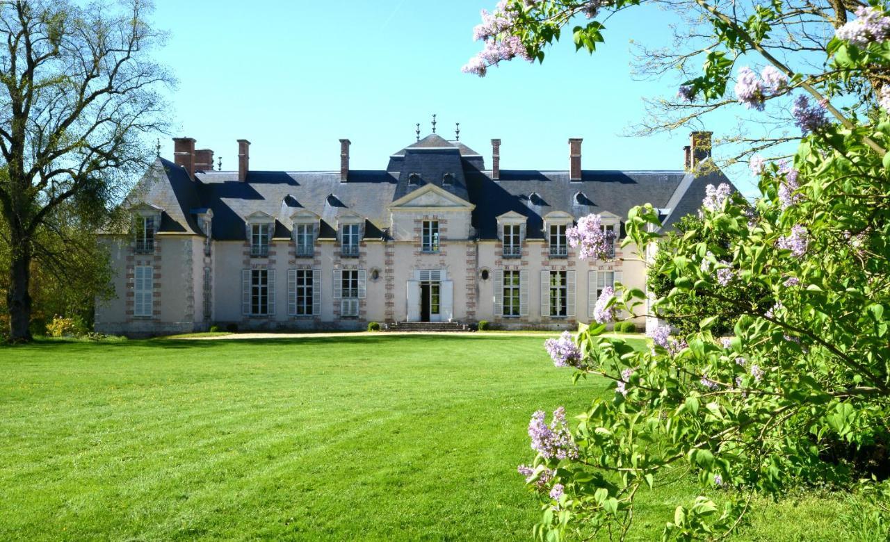 Baccon Chateau La Touanne Loire Valley المظهر الخارجي الصورة