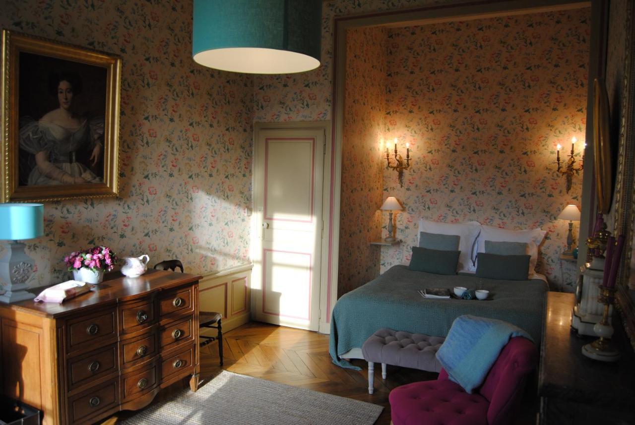 Baccon Chateau La Touanne Loire Valley المظهر الخارجي الصورة